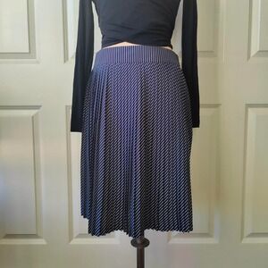 The Limited Preppy Academia Pleated Blue White Striped A-Line Skirt Lined Small